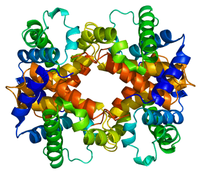 CRYSTALLOGRAPHY - Protein_HBA1